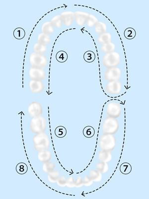 歯みがき指導